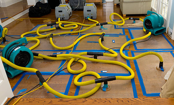 Professional Structural Drying And Dehumidification technician working in Kewaunee, WI